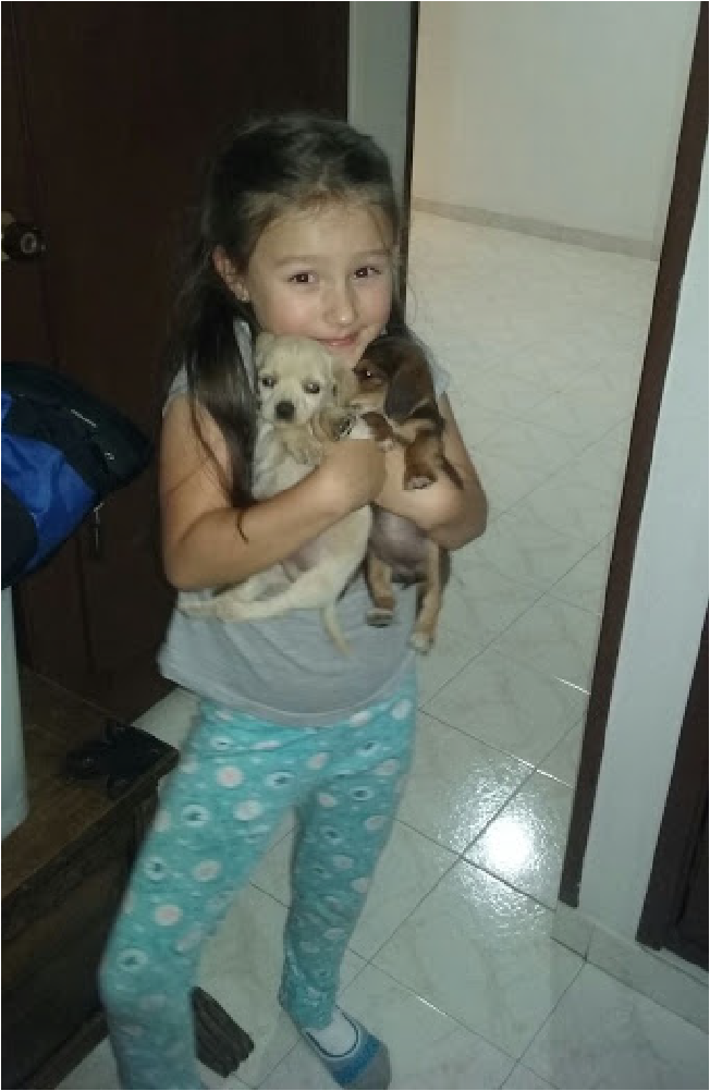 Los Hijos de muñeca